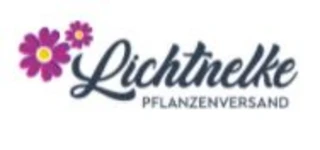 Lichtnelke