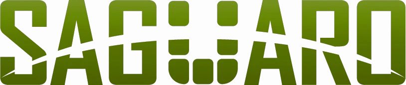 Saguaro Schuhe Gutscheincodes 