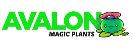 Avalon Magic Plants: Melden Sie Sich Für SonderAktionscode Und Aktionen Im Newsletter An