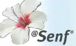Blumen-Senf