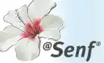 blumen-senf.de
