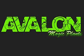 
       
      Avalon Magic Plants Gutscheincodes
      